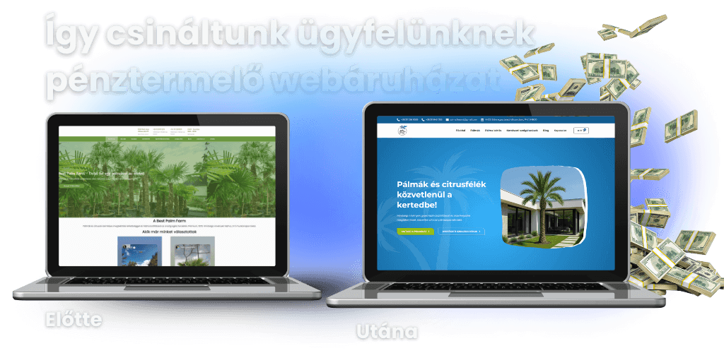Webáruház készítés győr
